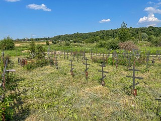 Кладбище Лайково, номерные могилы, невостребованные покойники
