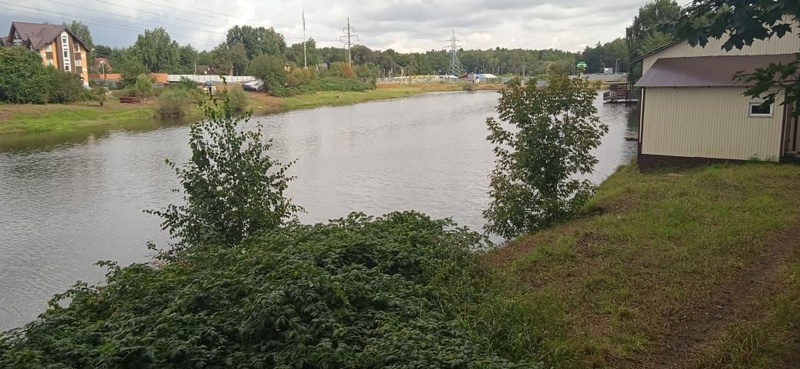 Пруд после завершения расчистки, Чиновники объявили о завершении очистки Глазынинского пруда в Одинцово