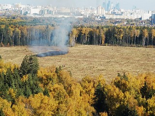Участок, на котором распространялся огонь