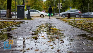 14 и 15 октября в Московском регионе объявлен «жёлтый» уровень погодной опасности из-за дождя