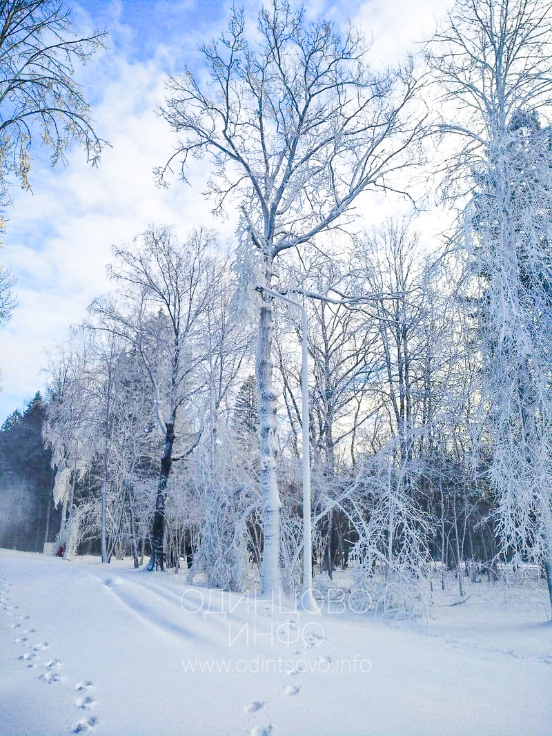 В Одинцовском парке культуры, спорта и отдыха включили снежную пушку, 🎿 В Одинцовском парке культуры, спорта и отдыха включили снежную пушку