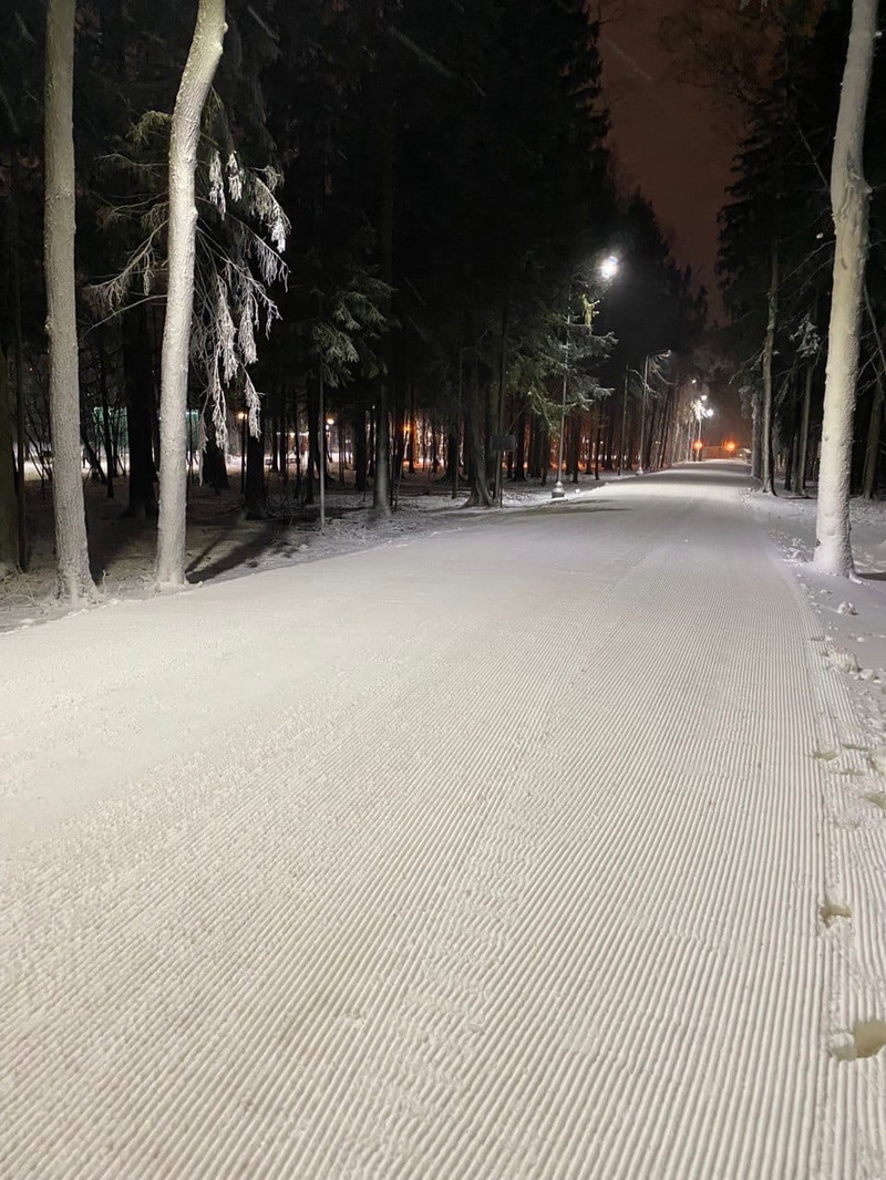 В Одинцовском парке открыли 300-метровый участок трассы для катания на лыжах, Ноябрь
