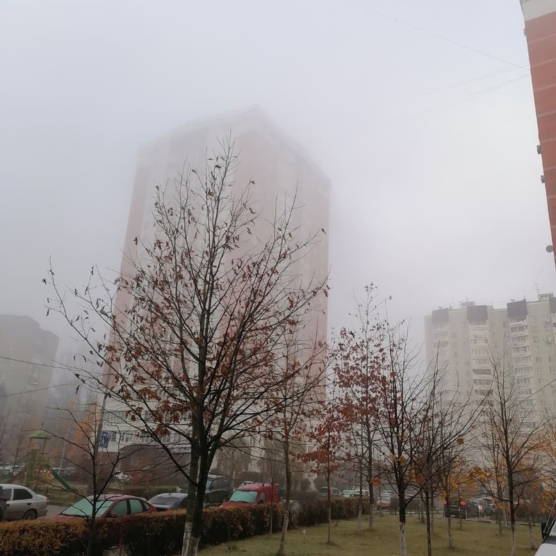 Туман в Одинцово ограничивает видимость, Ноябрь