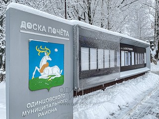 «Их назвали лучшими»: в центре Одинцово вандалы уничтожают доску почёта
