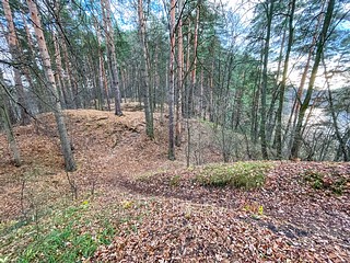 Высокий берег реки Саминка в поселке Барвиха