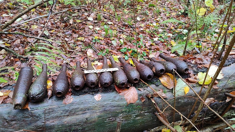 12 боеприпасов времён ВОВ нашли в лесу между двумя деревнями в Одинцовском округе