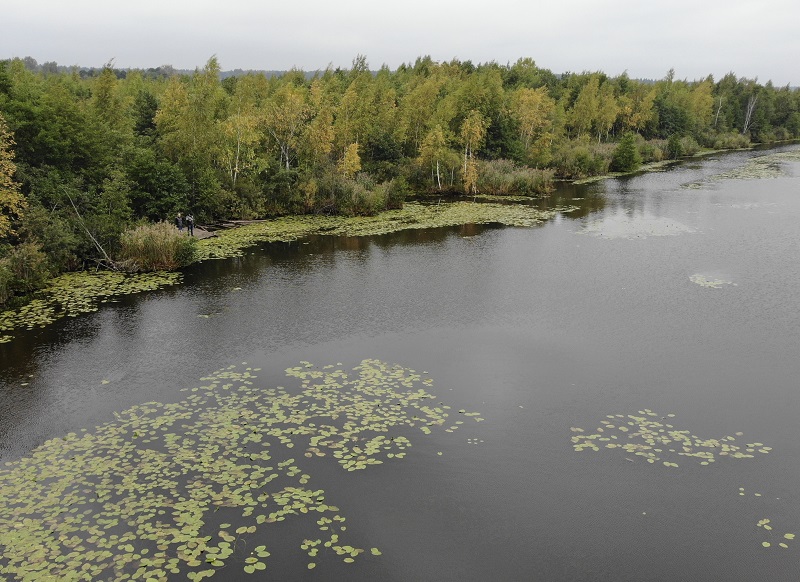 Состояние озера до работ, 747 тонн мусора извлекли из Палецкого озера в Одинцовском округе