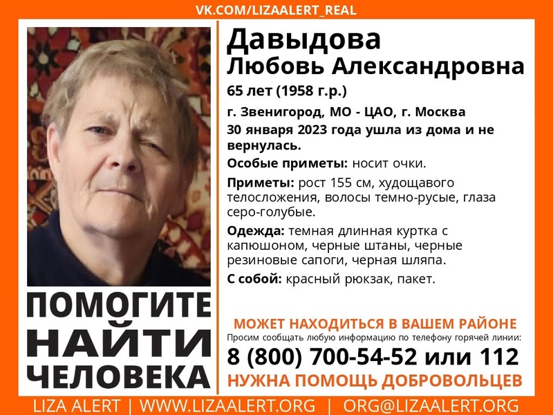 Пропавшую пенсионерку ищут в Одинцовском округе, Январь