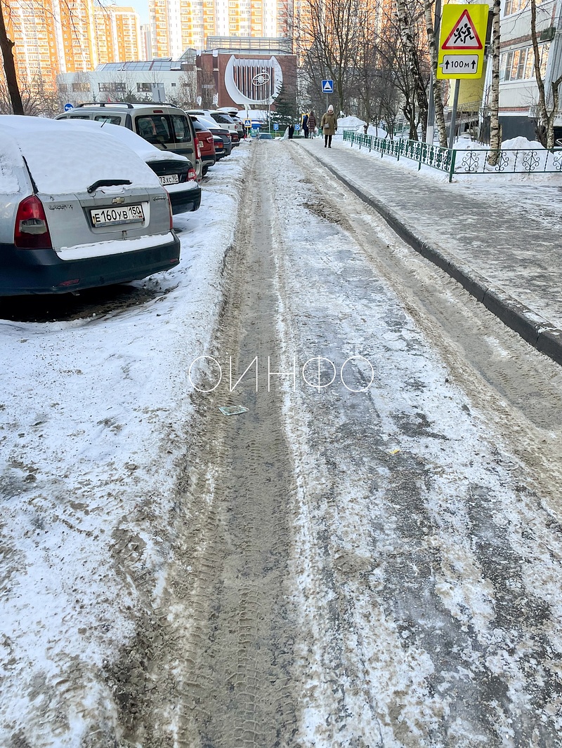 Жители 5-го микрорайона Одинцово пригласили Андрея Иванова на прогулку по «ледяным достопримечательностям»