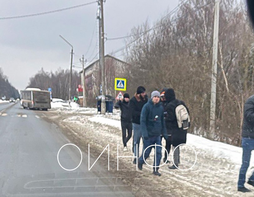 Жители деревни Синьково вынуждены ходить по обочине автодороги из-за отсутствия тротуара, Февраль