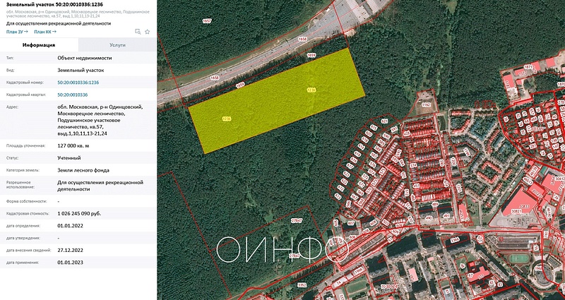 Земельный участок на публичной кадастровой карте, 12 гектаров Подушкинского леса в Одинцово выставлены на продажу под застройку