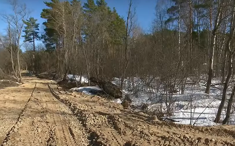 Жители Одинцовского округа судятся против строительства дороги на охраняемой природной территории