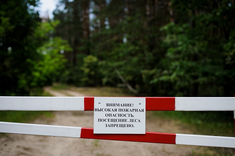 С 29 апреля в Одинцовском округе запретят посещать леса, Апрель