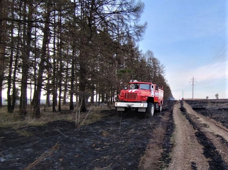 В лесах Московской области объявлен пожароопасный сезон, Апрель