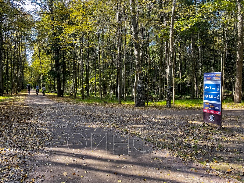 Новые прогулочные маршруты Одинцовского парка культуры, спорта и отдыха