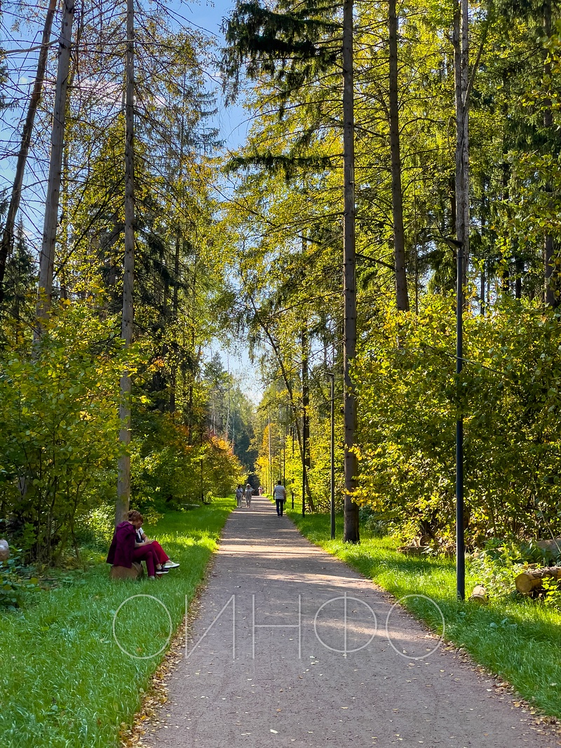 Новые прогулочные маршруты Одинцовского парка культуры, спорта и отдыха