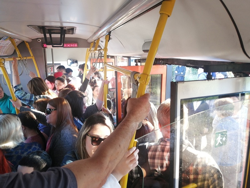 Автобус маршрута № 139 переполнен уже в Трёхгорке, «Ужас, что стало твориться»: жители Одинцовского округа массово жалуются на работу автобусов