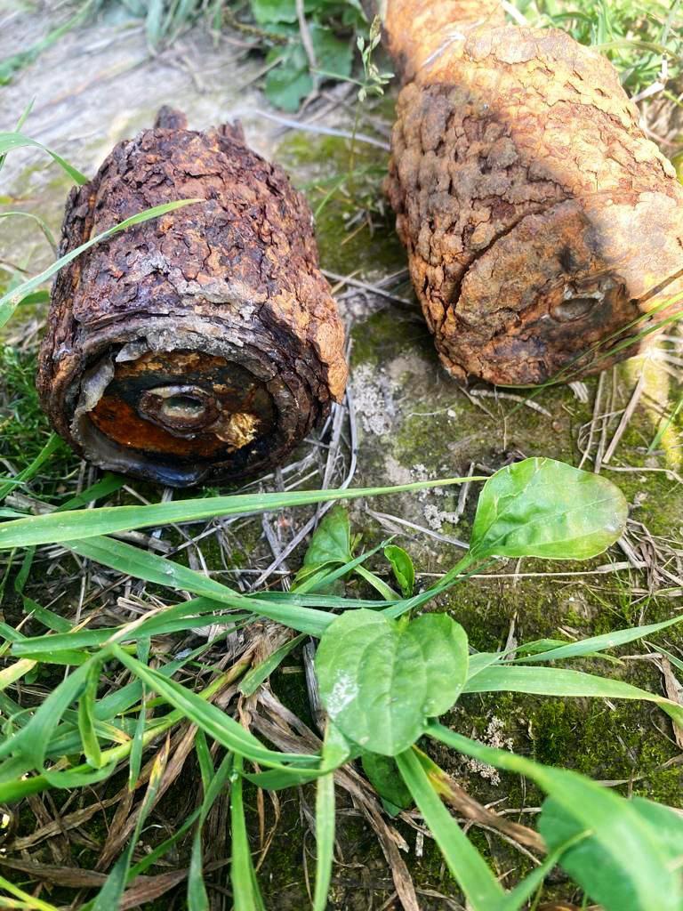 Две ручные гранаты времён ВОВ нашли в лесу возле деревни в Одинцовском округе, Сентябрь