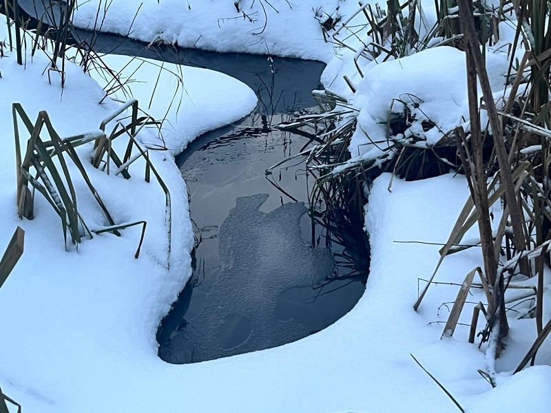 Жителю Уфы не дали устроить подсобное хозяйство в водоохранной зоне ручья в Одинцовском округе, Декабрь