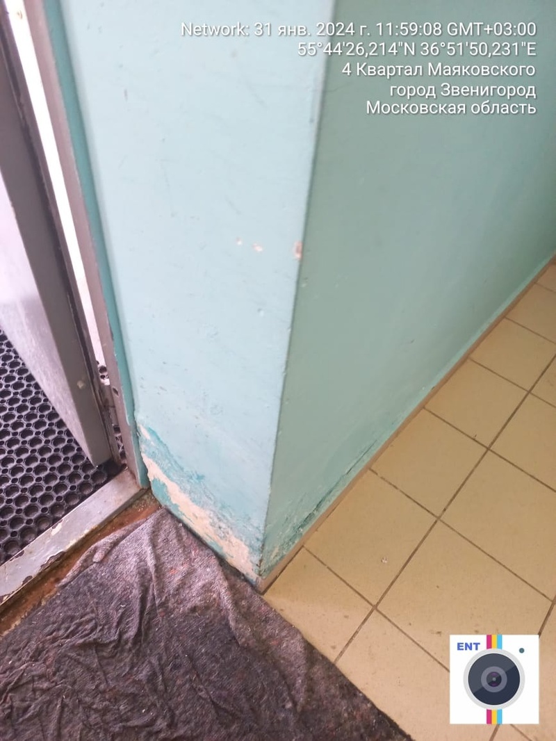 Стена у двери, В школе Звенигорода с октября ищут источник тошнотворного запаха в спортзале