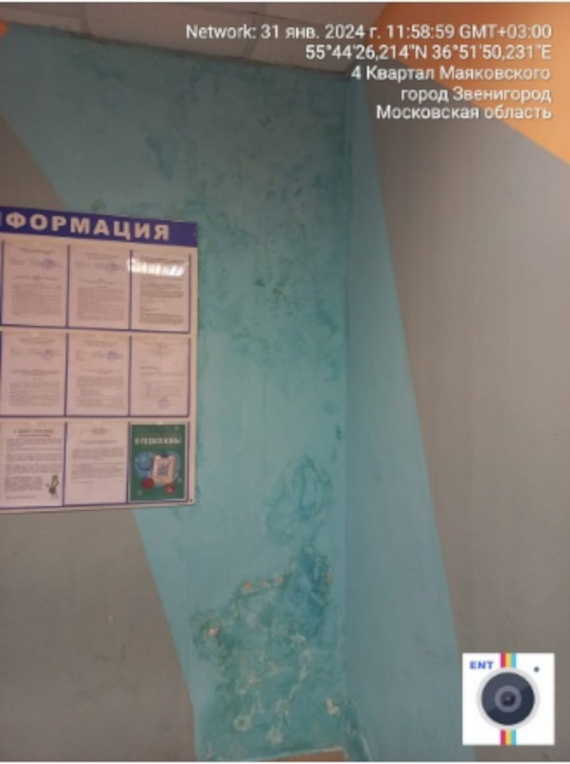 Стена у информационного центра, В школе Звенигорода с октября ищут источник тошнотворного запаха в спортзале