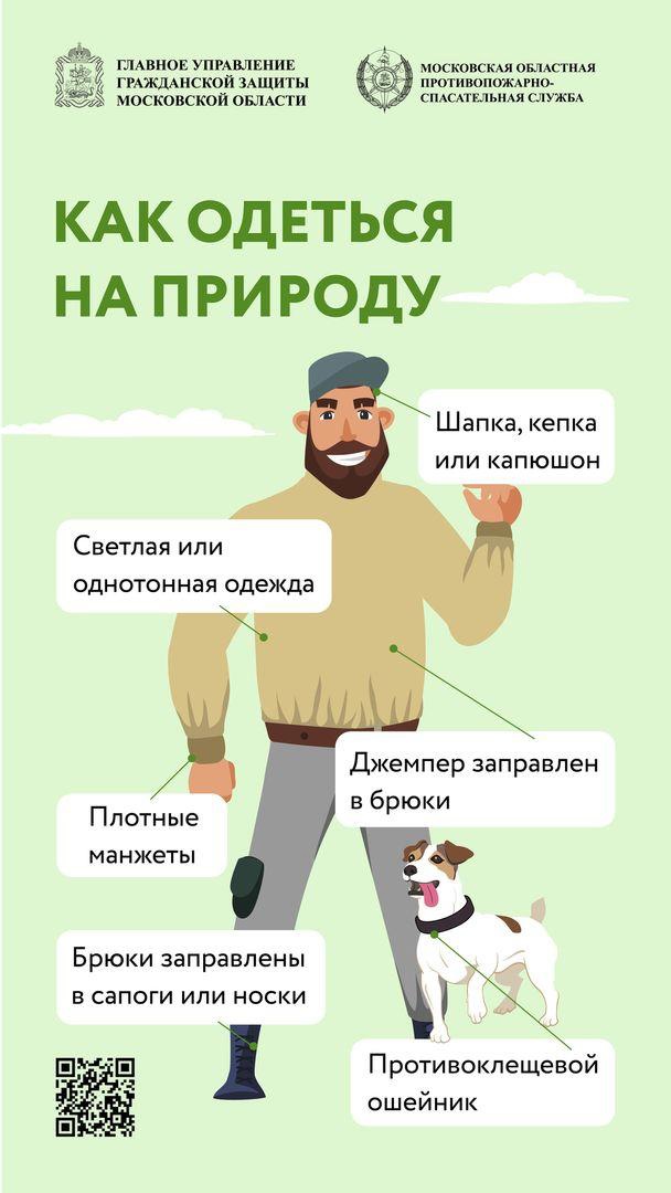 В Московской области клещи выходят на пик активности: как защититься