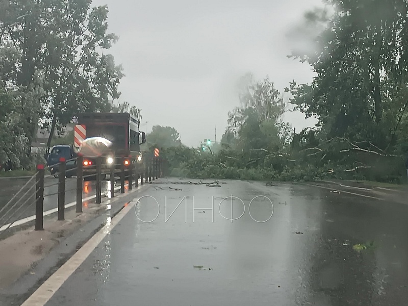 Упавшее дерево перекрыло Можайское шоссе в Малых Вязёмах, Удар стихии по Одинцовскому округу: «мегаливень» и ураганный ветер