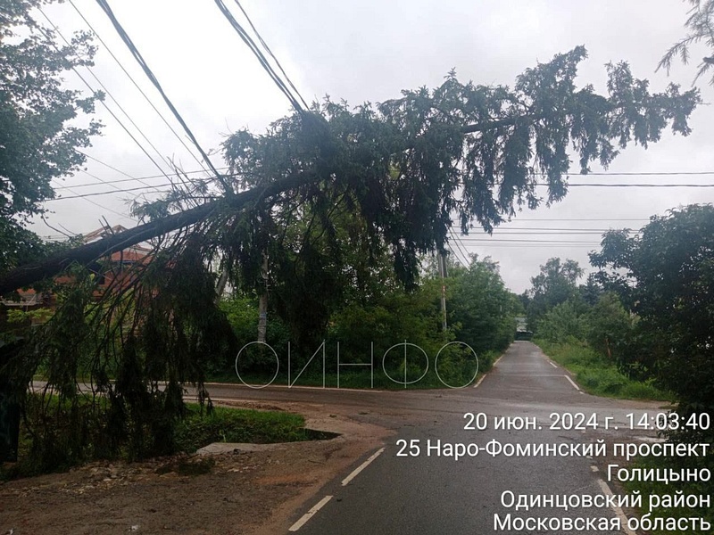 В Голицыно ель повисла на проводах, Удар стихии по Одинцовскому округу: «мегаливень» и ураганный ветер