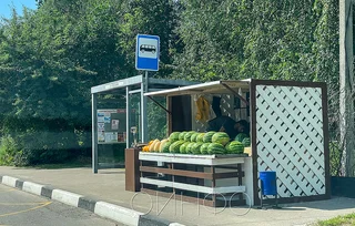 Продажа арбузов на тротуаре у автобусной остановки на улице Говорова в Одинцово