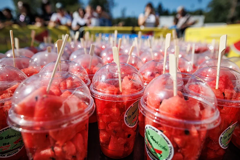 Участников на финише угощают арбузами, 6 сентября — «Арбузный кросс» в Одинцово. Регистрацию на массовый забег откроют 27 августа