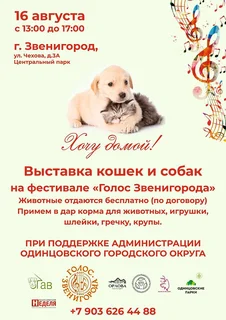 16 августа — выставка кошек и собак из приютов в центральном парке Звенигорода