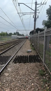 1 августа мужчина погиб под колёсами электрички на железнодорожной станции «Отрадное» в Одинцово