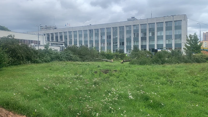 За зданием администрации Одинцовского округа вырубили деревья под парковку