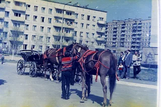 1983 г первомай. Где-то в Одинцово