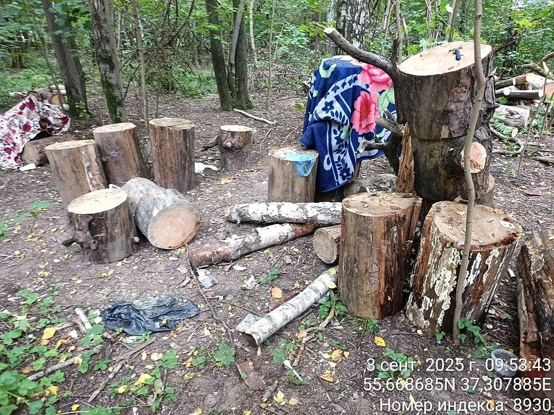 «Андрей Робертович, пора!»: общественник о благоустройстве парка в Одинцово