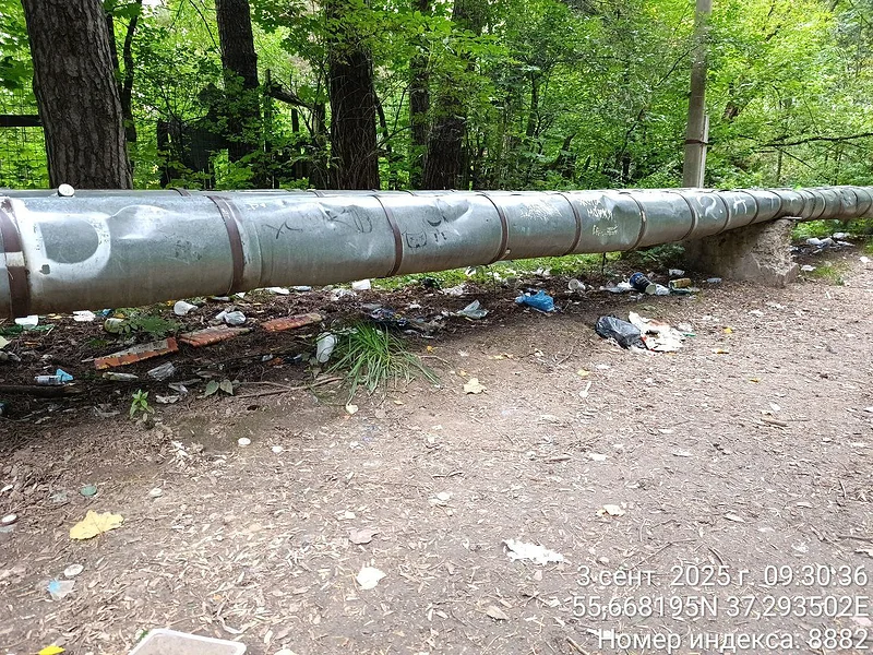 «Андрей Робертович, пора!»: общественник о благоустройстве парка в Одинцово