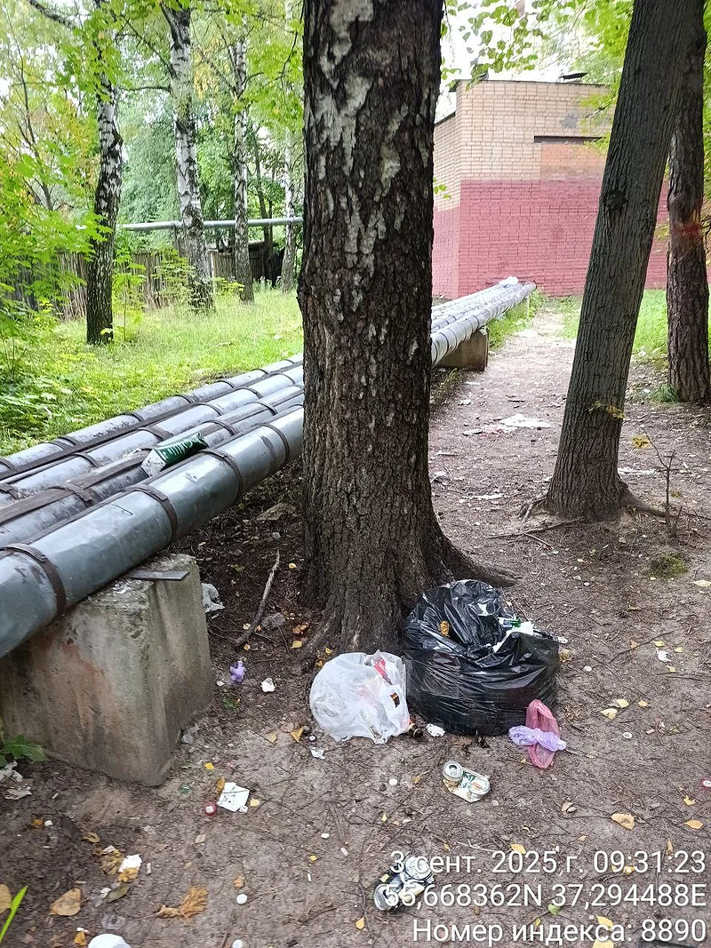 «Андрей Робертович, пора!»: общественник о благоустройстве парка в Одинцово