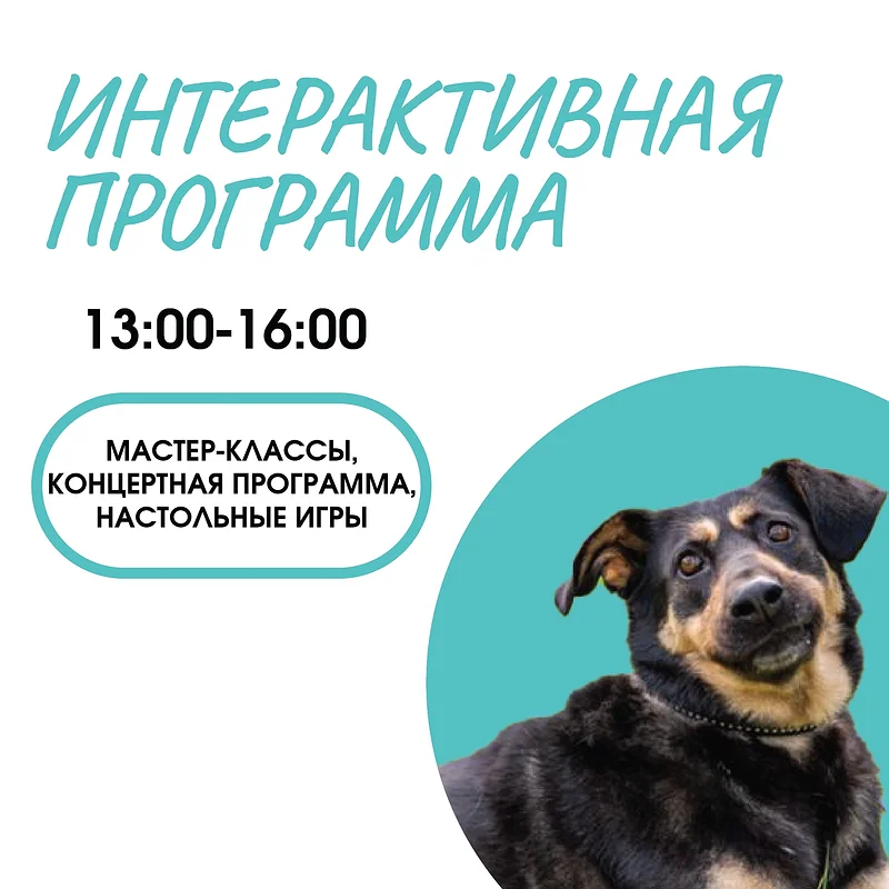 12 октября — «Всемирный день защиты животных» в Одинцовском парке культуры, спорта и отдыха
