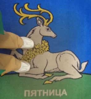 Коврик с гербом в лифте здания администрации Одинцовского округа