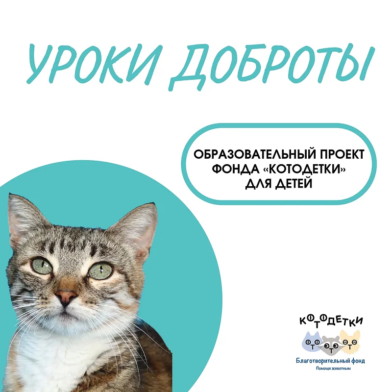 12 октября — «Всемирный день защиты животных» в Одинцовском парке культуры, спорта и отдыха