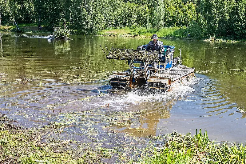 Три пруда Одинцовского округа попали в областную программу расчистки на 2026 год, Декабрь
