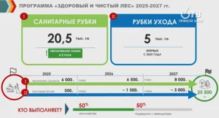 Региональная программа «Здоровый и чистый лес» в Одинцовском округе на 2025-2027 годы