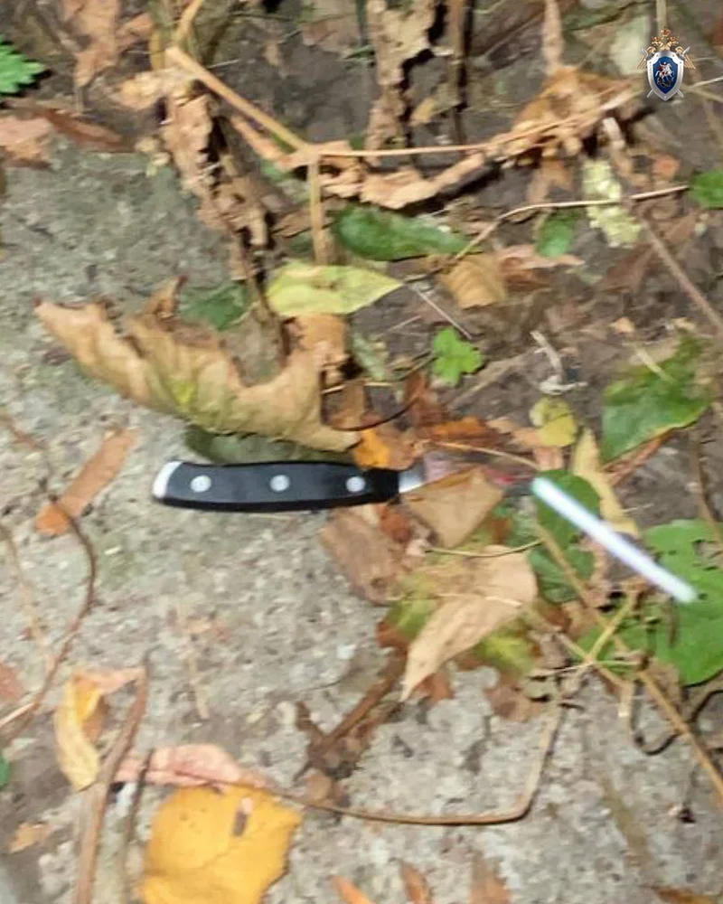 13 лет колонии получил мужчина, который зарезал знакомого-инвалида возле дома в Одинцово, Декабрь