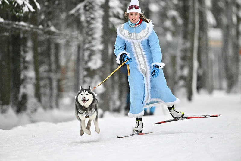 Снегурочка на лыжне, 56-я Манжосовская лыжная гонка в Одинцовском парке культуры, спорта и отдыха