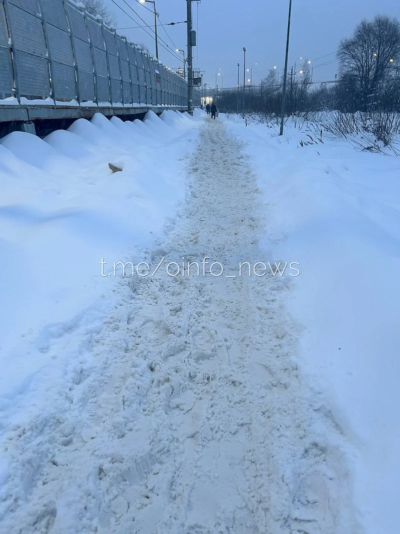 Проход, протоптанный самими пассажирами, «Снег не убирают. Люди падают, калечатся». Одинцовцы о проблеме с проходом к ж/д станции Отрадное