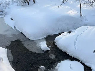 Владельцев земельного участка в Кубинке поймали на сбросе сточных вод в реку