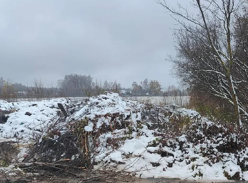 Незаконная свалка в деревне Ликино нанесла ущерб почвам на 46 млн рублей, Февраль