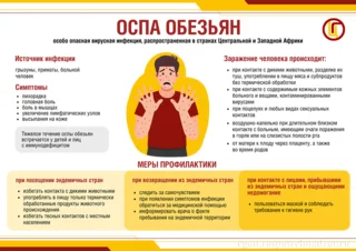 Оспа обезьян: источник инфекции, симптомы, как происходит заражение, меры профилактики