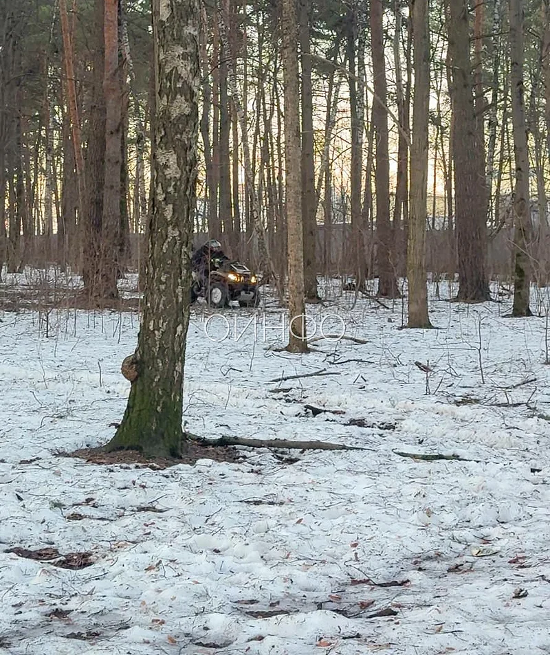 Квадроциклист в Глазынинском лесу, Питбайкеры и квадроциклисты устроили гоночную трассу в Глазынинском лесу в 8-м микрорайоне Одинцово