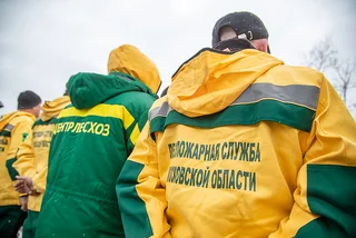С 20 марта в подмосковных лесах объявили пожароопасный сезон